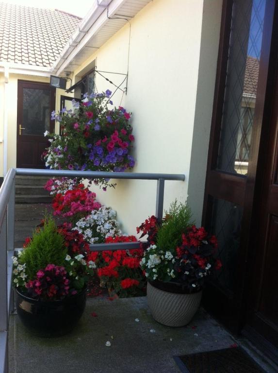Hillview House Hotel Lusk Luaran gambar